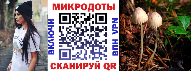 Псилоцибиновые грибы мицелий Ворсма